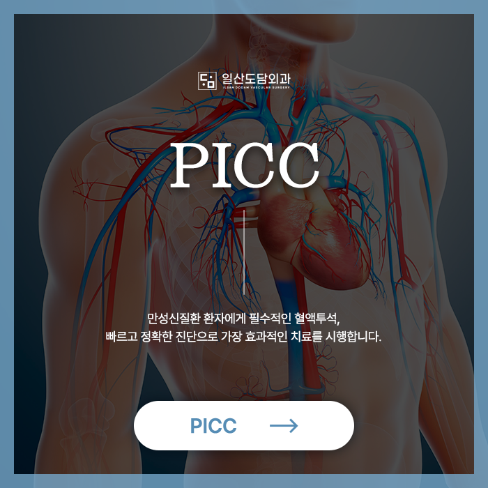 일산 PICC 말초동맥 도담외과